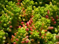 digiPhotog2011-05